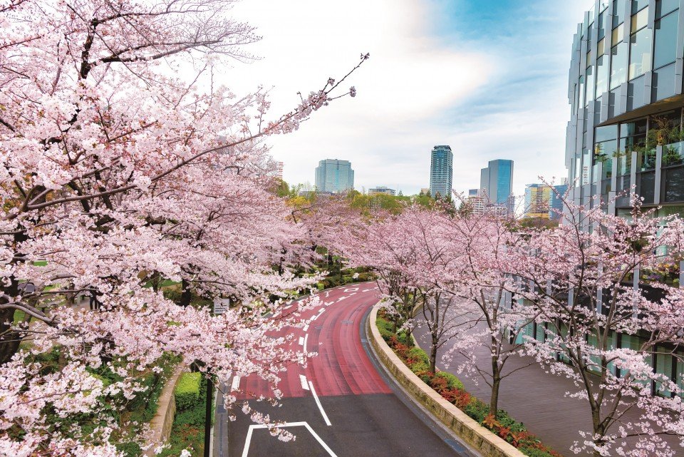 🌳 히노키초 공원 이미지 7